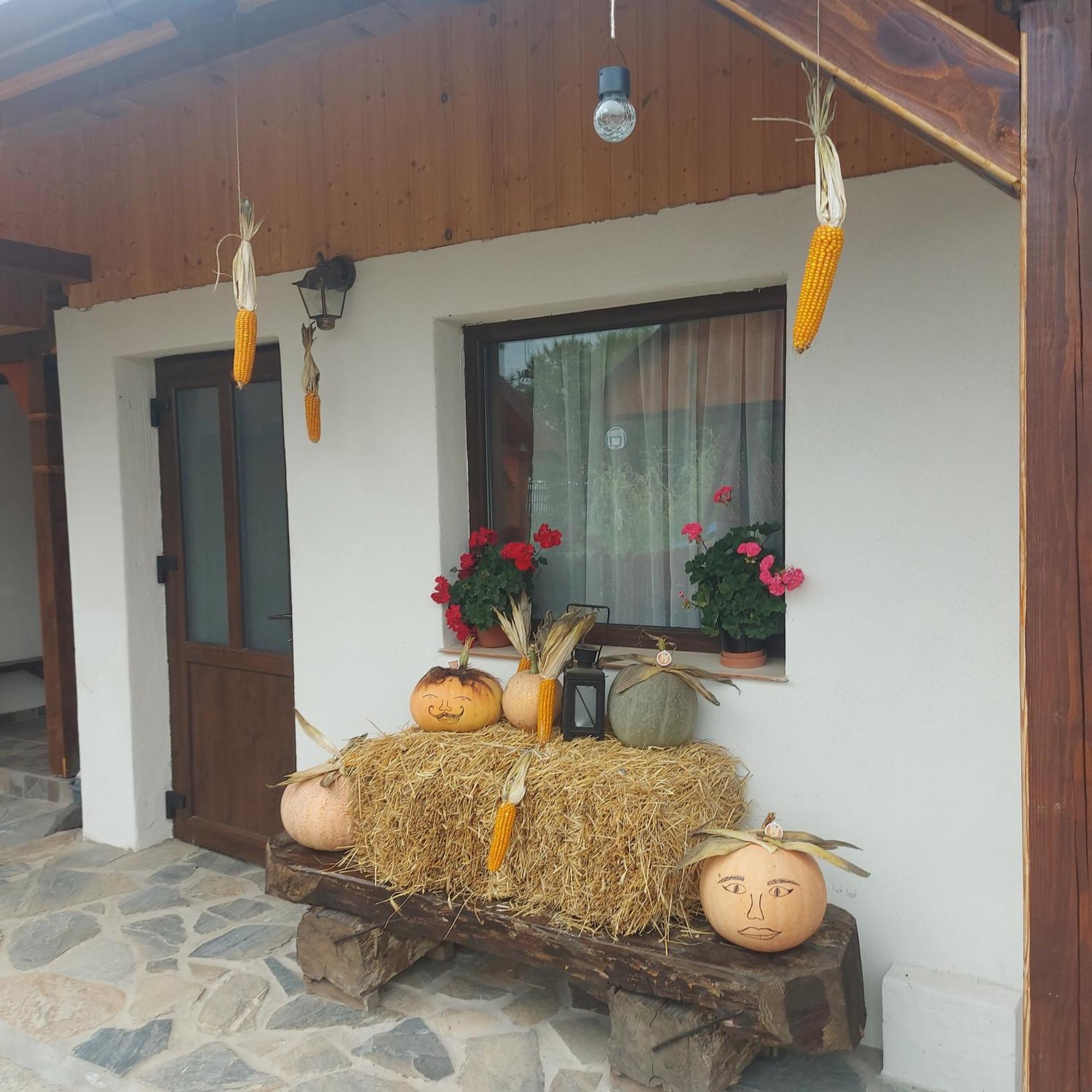 Cabana Lunca Târgu Neamț Exteriör bild